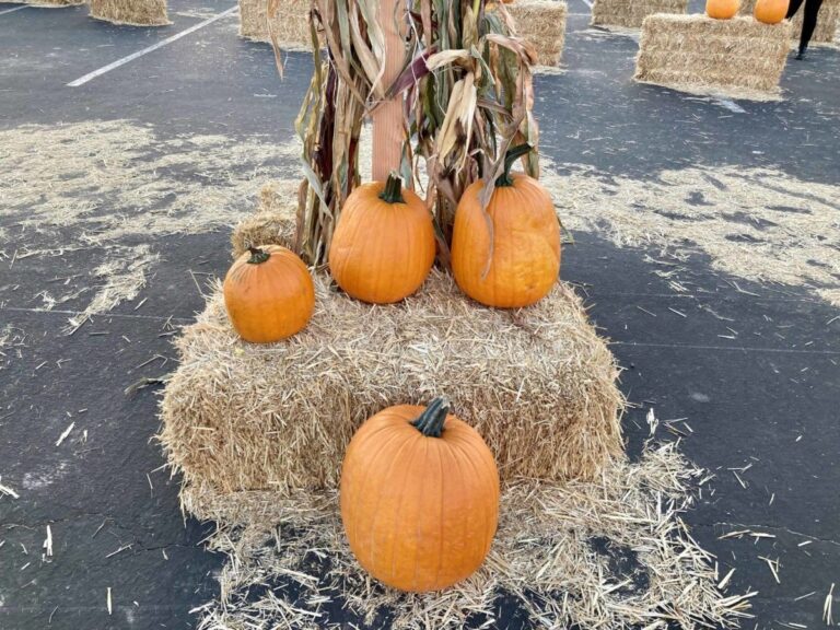 Pumpkins For Halloween