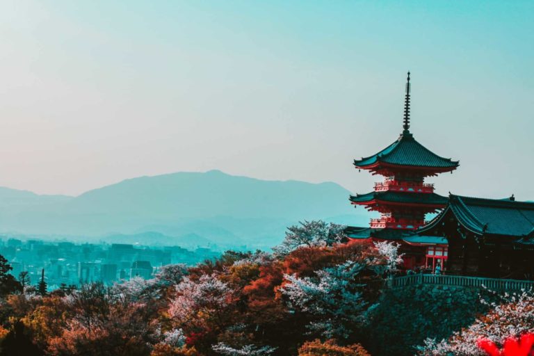 red and black temple surrounded by trees photo